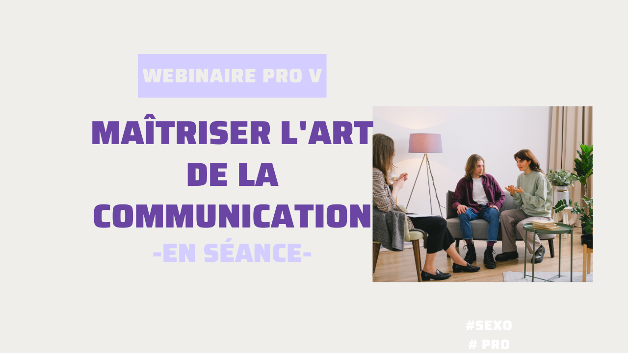 Maîtriser l'art de la communication -En séance-